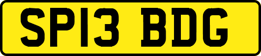 SP13BDG