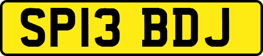 SP13BDJ