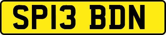 SP13BDN