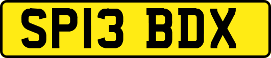 SP13BDX