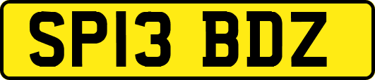SP13BDZ