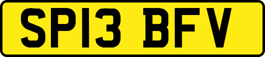 SP13BFV