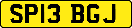 SP13BGJ