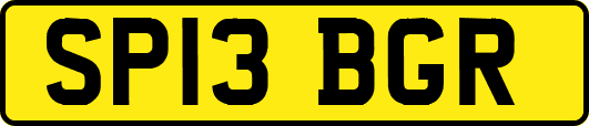 SP13BGR