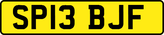 SP13BJF