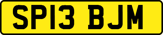 SP13BJM