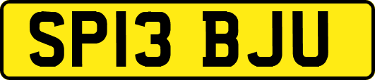 SP13BJU