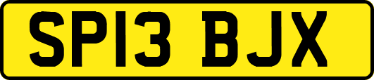 SP13BJX