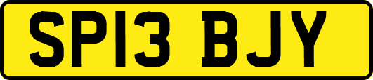 SP13BJY