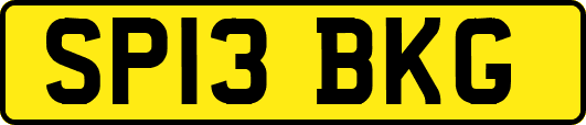 SP13BKG
