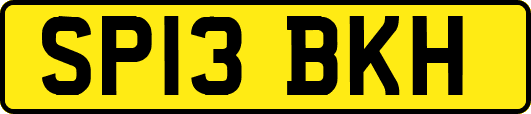 SP13BKH