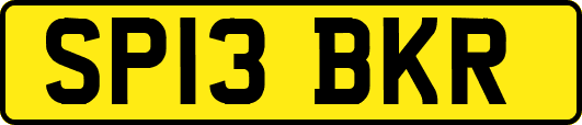 SP13BKR