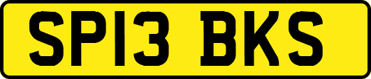 SP13BKS