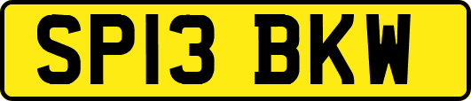 SP13BKW