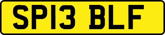 SP13BLF