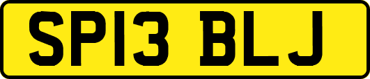 SP13BLJ