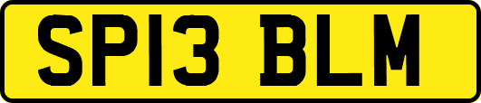 SP13BLM