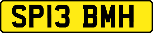 SP13BMH