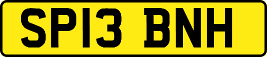 SP13BNH