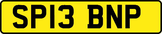 SP13BNP