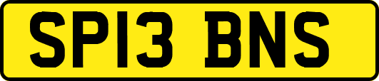 SP13BNS