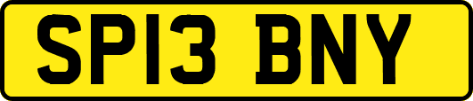 SP13BNY