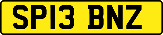 SP13BNZ