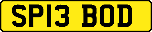 SP13BOD