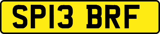 SP13BRF