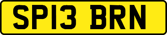 SP13BRN