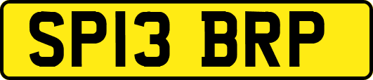 SP13BRP
