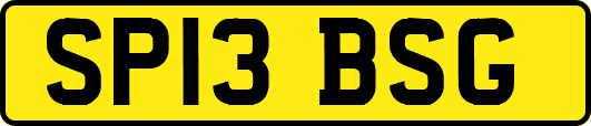 SP13BSG