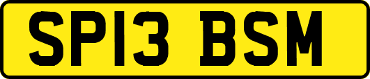 SP13BSM