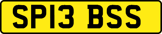 SP13BSS