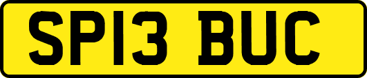 SP13BUC