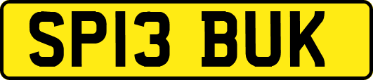 SP13BUK
