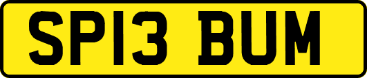 SP13BUM