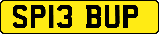 SP13BUP
