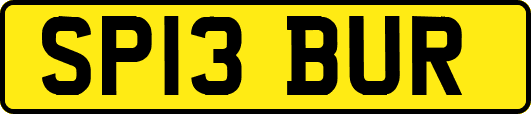 SP13BUR