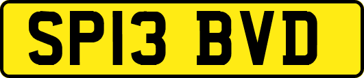 SP13BVD