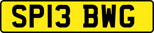 SP13BWG