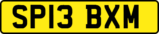 SP13BXM