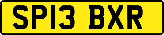 SP13BXR
