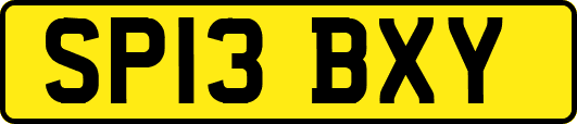 SP13BXY