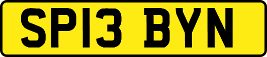 SP13BYN