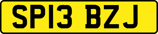 SP13BZJ