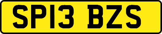SP13BZS
