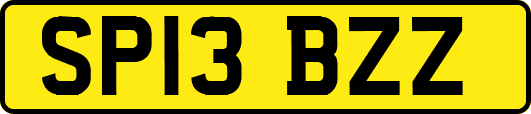 SP13BZZ