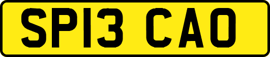 SP13CAO