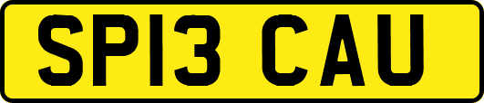 SP13CAU
